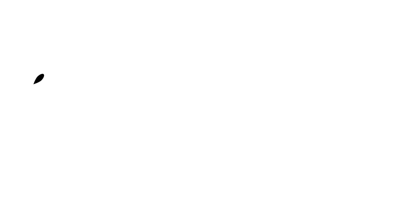 Vilniaus Juvelyrikos Akademija